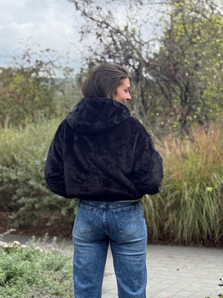 Veste Apolline